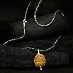 2 Mukhi Rudraksha Pendent + Oxidised Chain