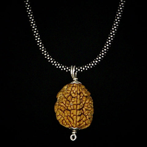 2 Mukhi Rudraksha Pendent + Oxidised Chain