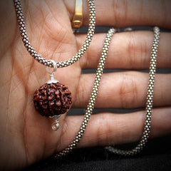 7 Mukhi Pendent with Silver Oxidised Chain