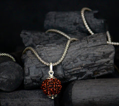 6 Mukhi Original Rudraksha with Silver Chain