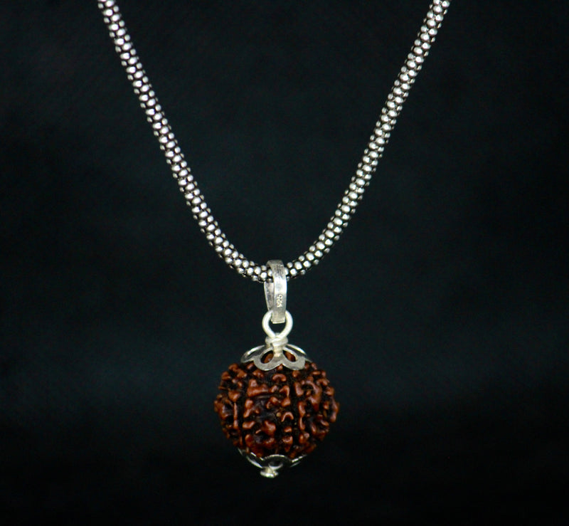 6 Mukhi Original Rudraksha with Silver Chain