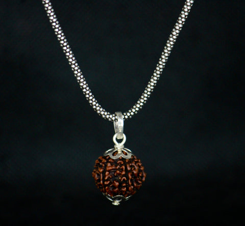 6 Mukhi Original Rudraksha with Silver Chain