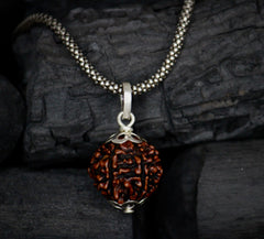 6 Mukhi Original Rudraksha with Silver Chain